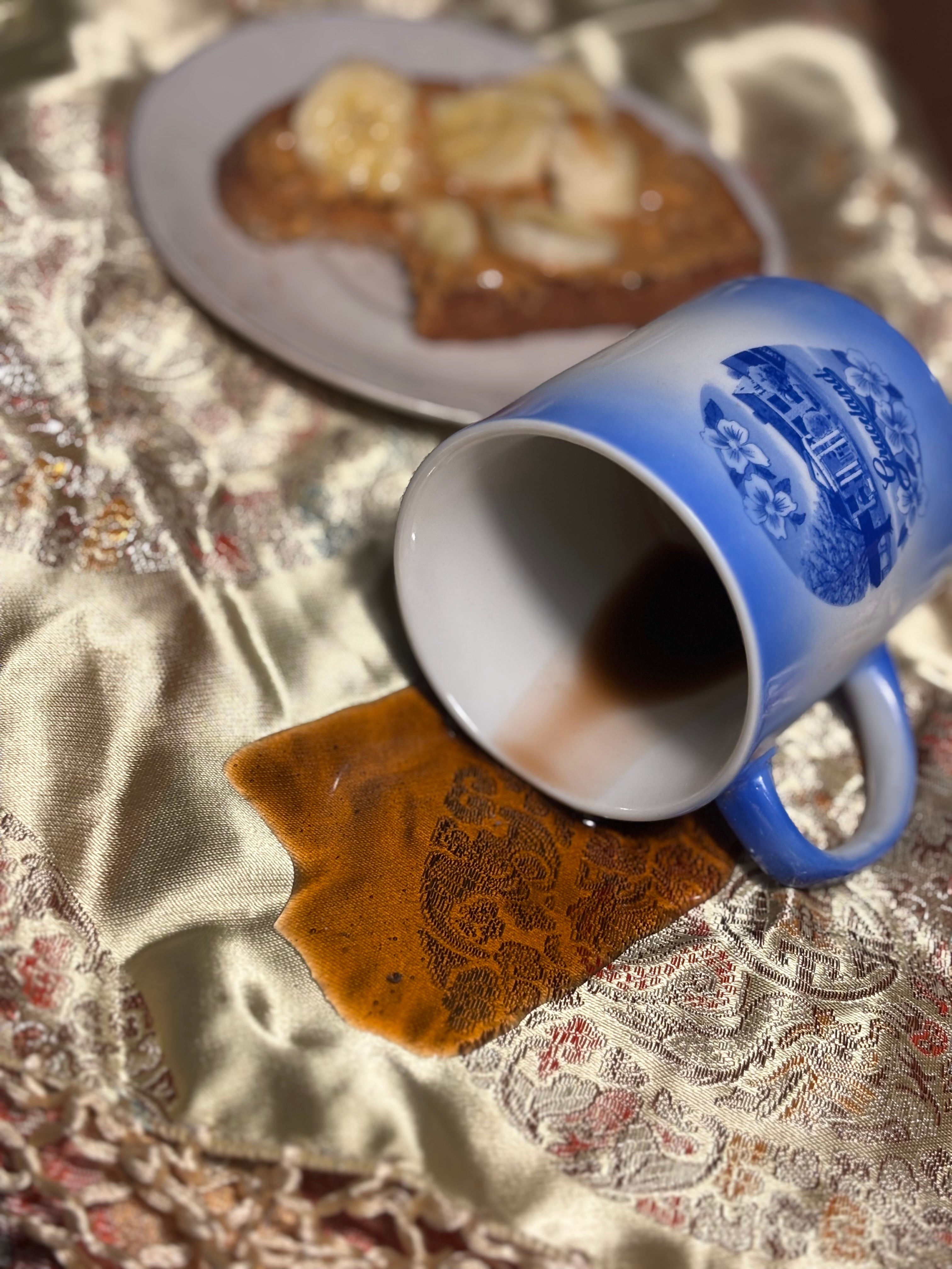 Graceland Elvis memorabilia prank spill mug